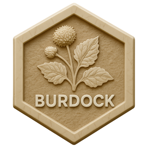 Burdock Products