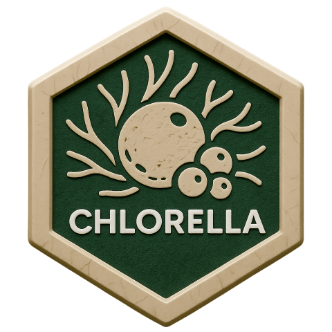 Chlorella Products