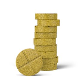 500mg - Ginger + Turmeric - Spiced Orange - Mood Tablets