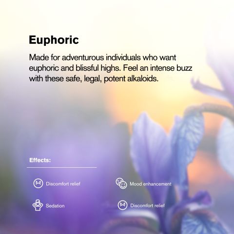 100mg Mitragynine Tablets - Blueberry - Thumbnail 7