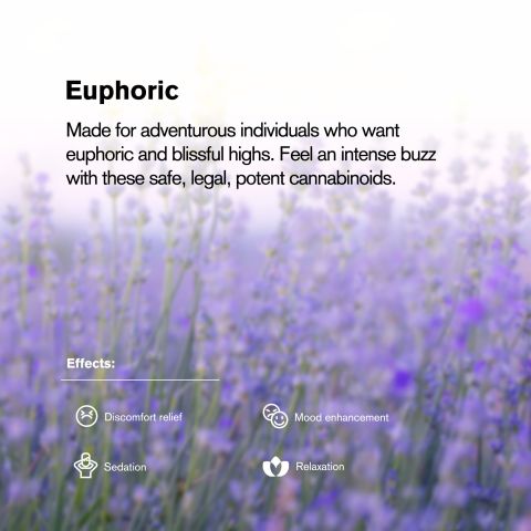 50mg 7-Hydroxy Tablets - Blueberry - Thumbnail 7