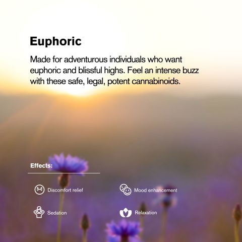 15mg 7-Hydroxy Tablets - Blueberry - Thumbnail 7