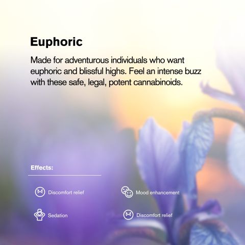 100mg Kratom Extract MIT-100 Tablets - Mango - Thumbnail 7