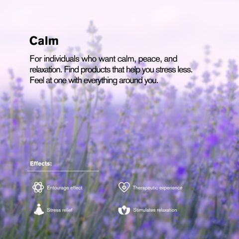 50mg CBD (Broad Spectrum), CBD, Nano Tablets - Grape - Thumbnail 7