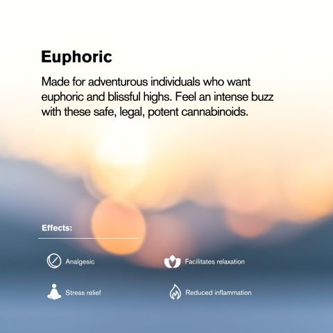 25mg CBG & Nano Tablets - Berries - Thumbnail 6