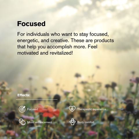 25mg CBC & Nano Tablets - Unflavored - Thumbnail 7