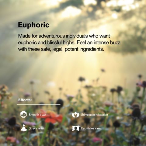 25mg D9 & Nano Tablets - Lemon - Thumbnail 7