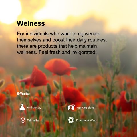 50mg Cannabidiol Isolate Tablets - Green Apple - Thumbnail 7