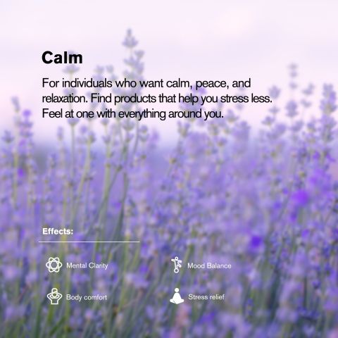 L-Theanine, L-THP, Ashwagandha Chewable Tablets - Chill Extreme - Thumbnail 7