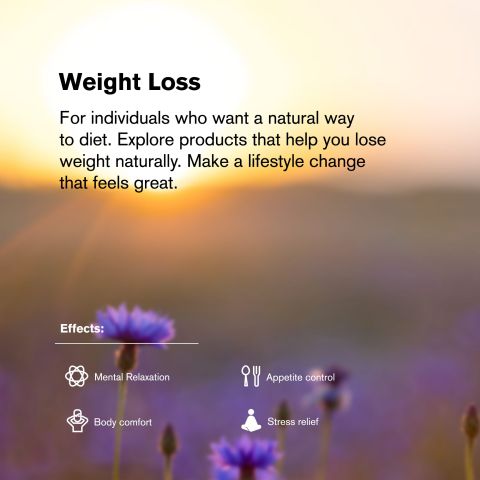 50mg L-Tetrahydropalmatine Tablets - Green Apple Mint - Chill Extreme - Thumbnail 7