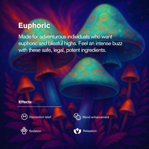 50mg 7OH & Mushroom Blend Tablets - Berries - Shrooomies - Thumbnail 7