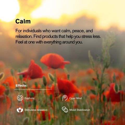 30mg Cat's Claw Tablets - Berries - Chill Plus - Thumbnail 7