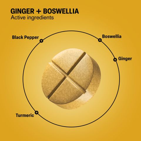 500mg - Ginger & Boswellia - Spiced Mango - Mood Tablets - Thumbnail 5