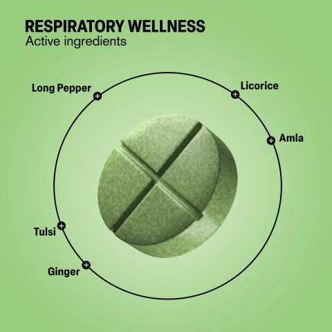 500mg - Respiratory Wellness - Honey Mint - Mood Tablets - Thumbnail 5