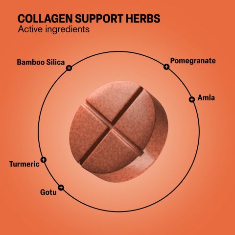 500mg - Amla, Bamboo Silica, Gotu, Pomegranate, Turmeric Tablets - Collagen Support Herbs - Peach Pomegranate - Mood Tablets - Thumbnail 5