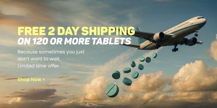 Large Promo 1 - Free 2 Day Shipping